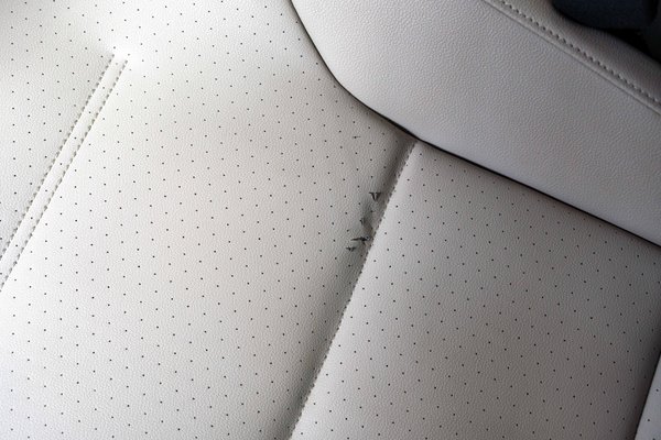 Driver Seat Upholstery Damage