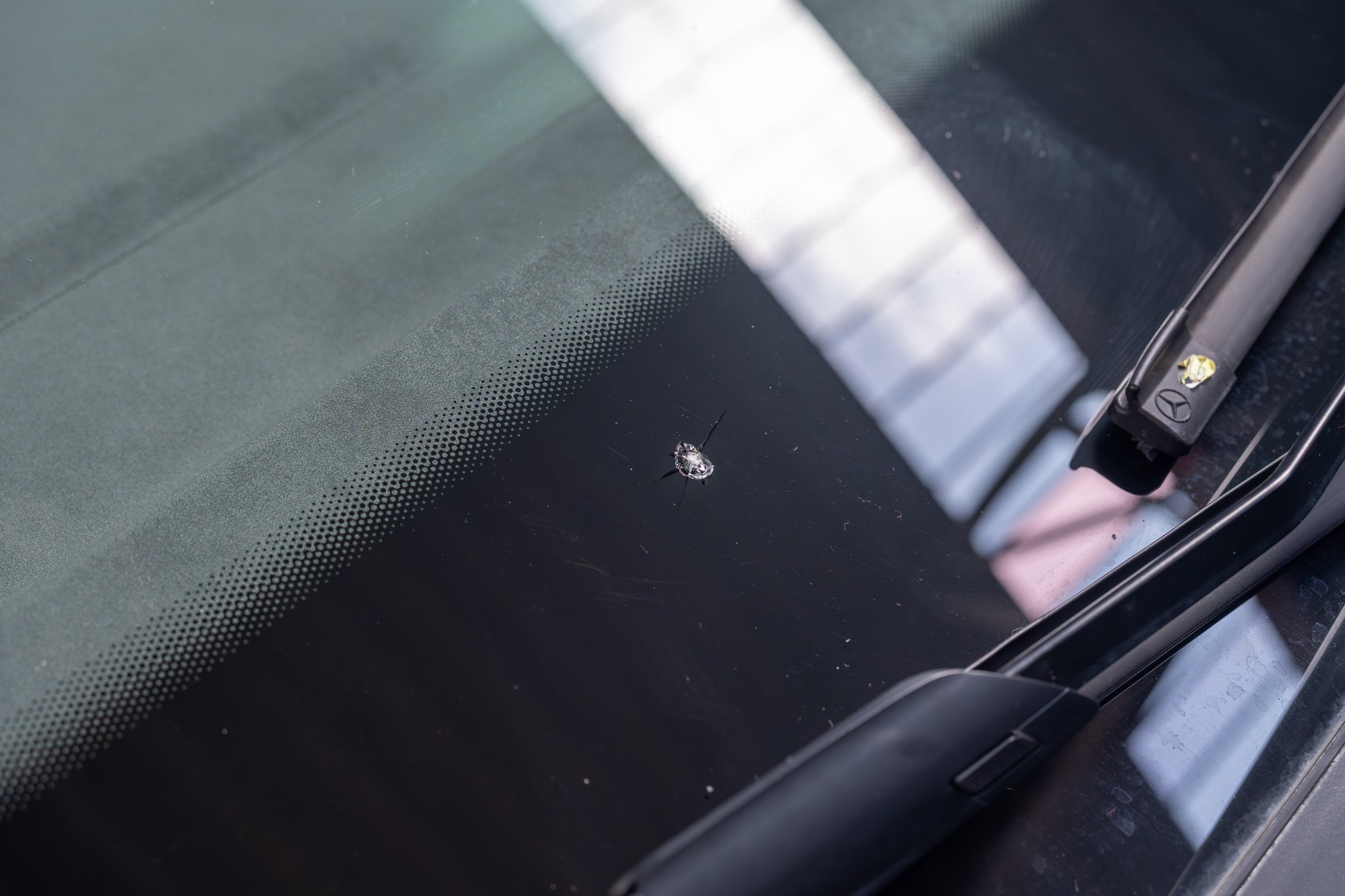 Windshield Chip