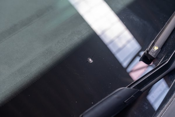 Windshield Chip